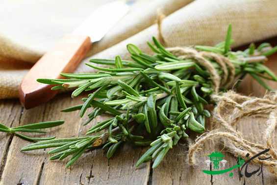 خواص های آویشن