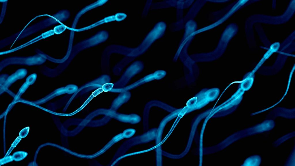 آزمایش اسپرم