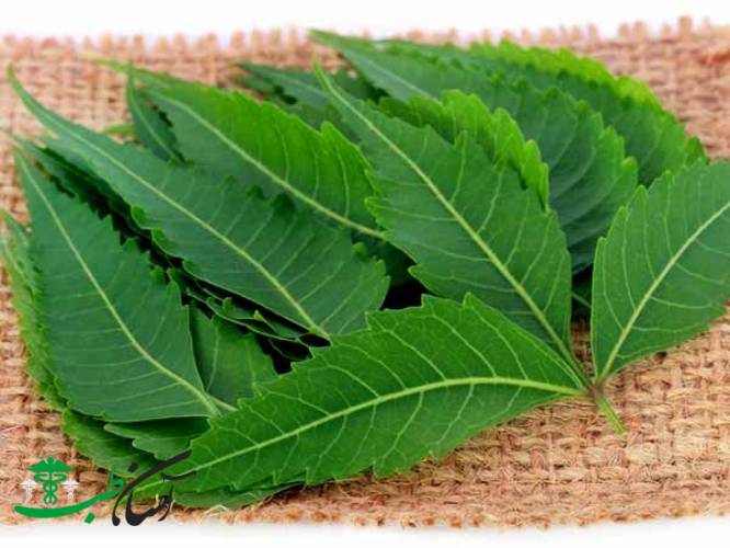 درمان اوریون در طب سنتی