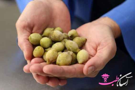 آلوی کاکادو