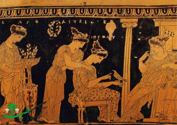 پزشکان طب سنتی