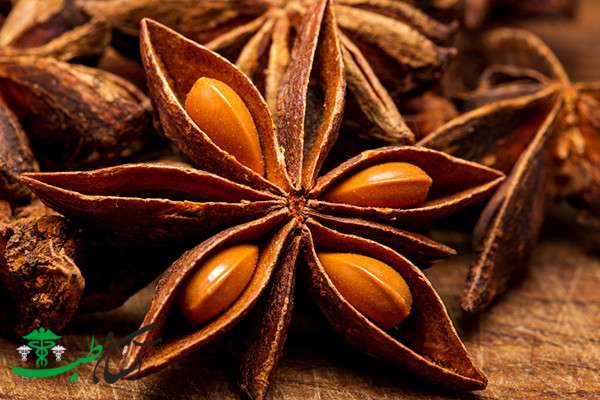 خواص انیسون ستاره‌ای