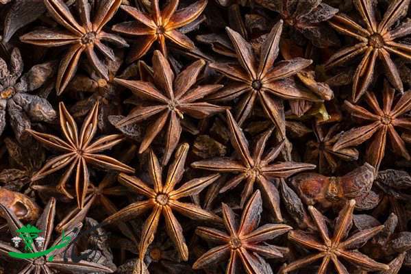 خواص انیسون ستاره‌ای