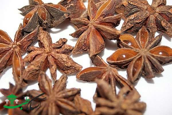 خواص انیسون ستاره‌ای