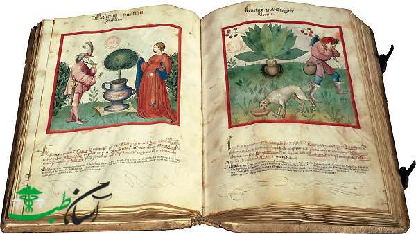 ابوعلی سینا