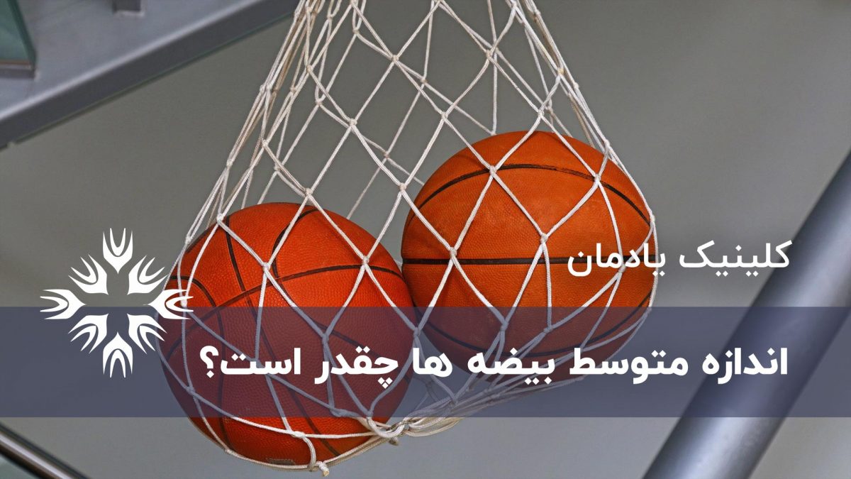 اندازه متوسط بیضه ها چقدر است؟