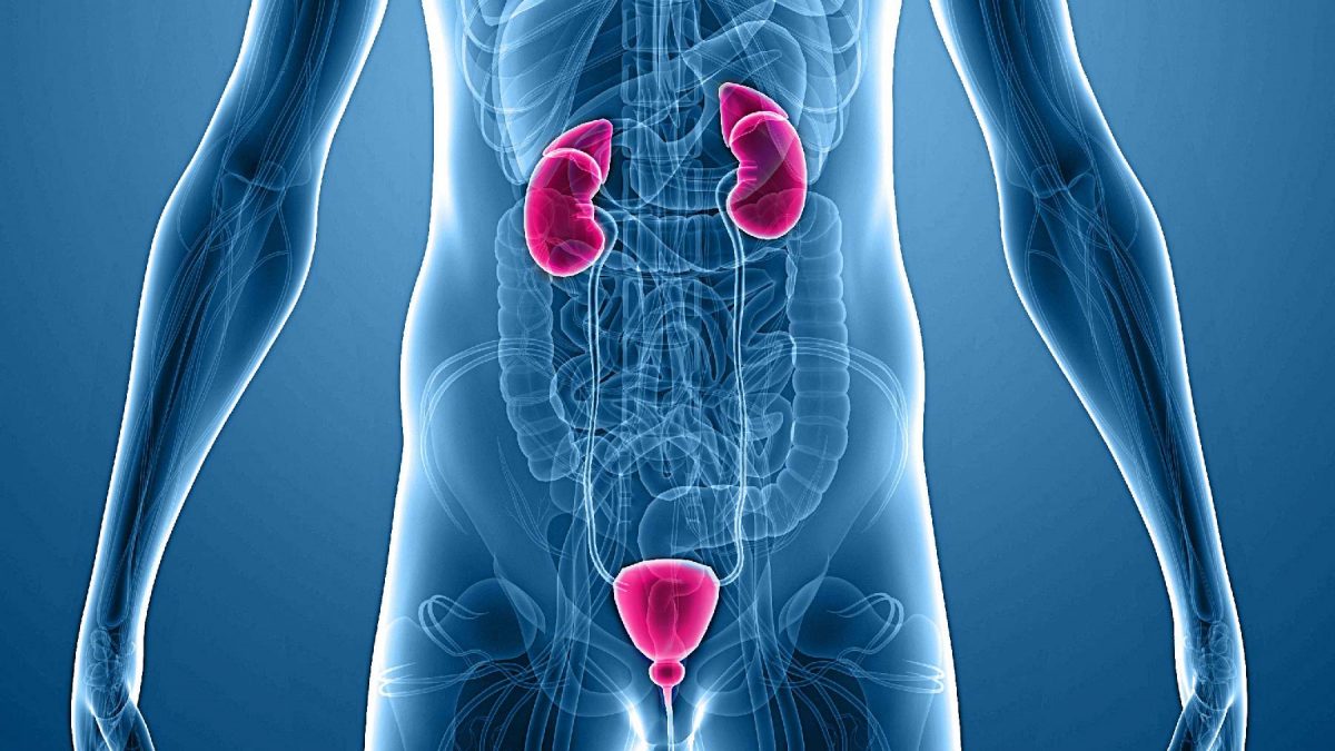 اورولوژی چیست؟ متخصص اورولوژی چه کاری انجام می دهد؟