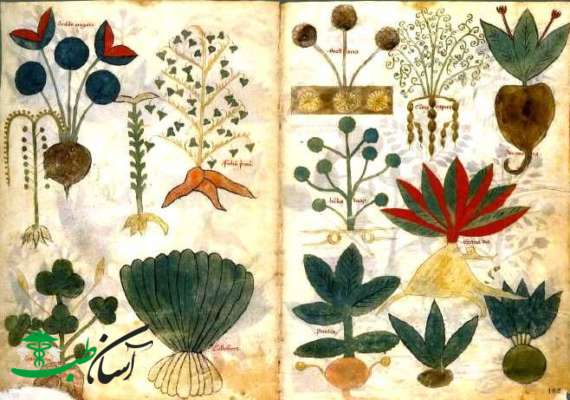 دارو های قدیم دارو های قدیم