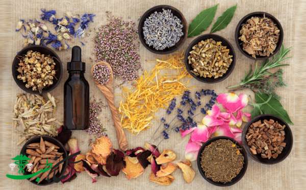 دارو های قدیم