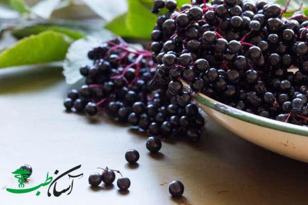 خواص اقطی خواص اقطی