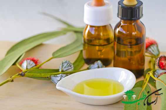 روغن اکالیپتوس روغن اکالیپتوس