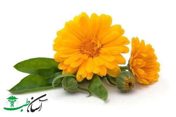 خواص کالاندولا