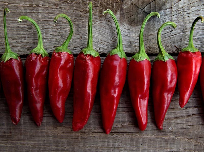 روش تنبل ها برای لاغری