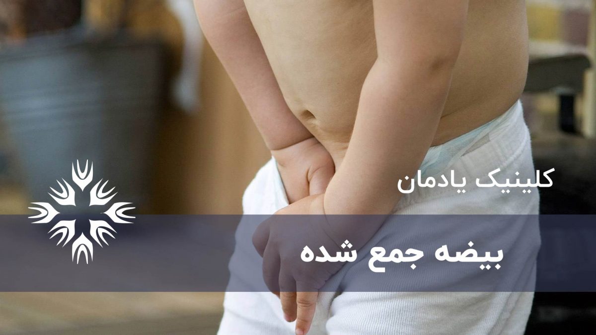 بیضه جمع شده چیست