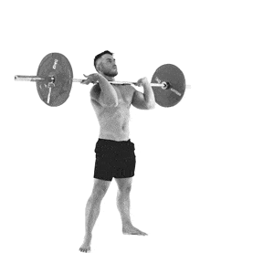 اسکات از جلو