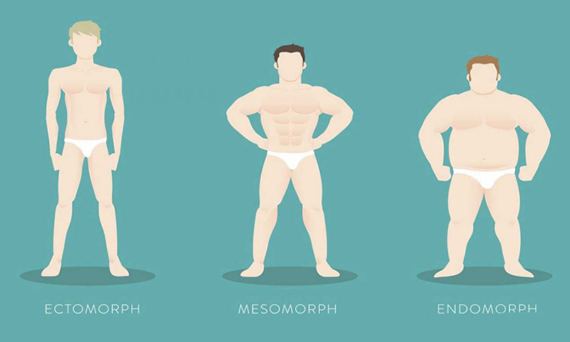 انواع تیپ بدنی