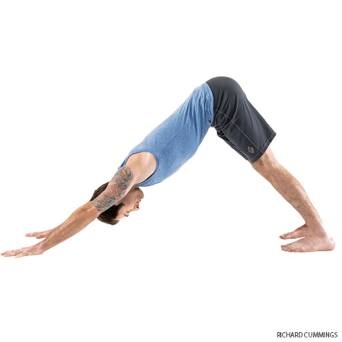 حرکات یوگا برای درمان دیسک کمر,downward-facing-dog حرکت سگ با صورت رو به پایین