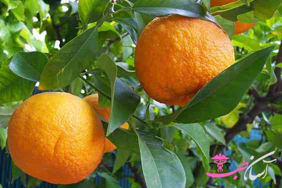 خواص آب نارنج