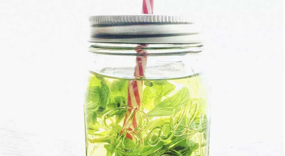 خواص بادرنجبویه