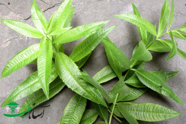 خواص به لیمو خواص به لیمو