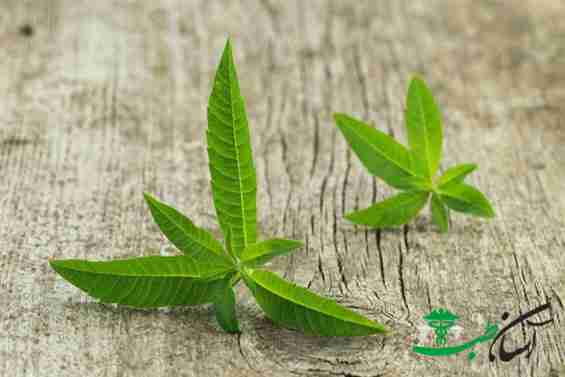 خواص به لیمو