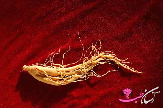 جینسینگ قرمز