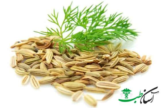 خواص تخم رازیانه