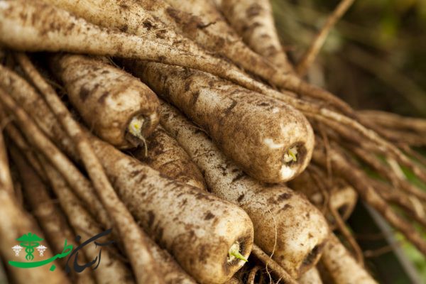 خواص ترب کوهی