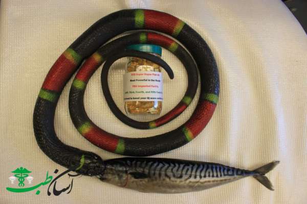 خواص روغن مار