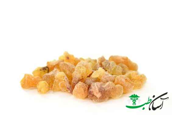 صمغ کندر
