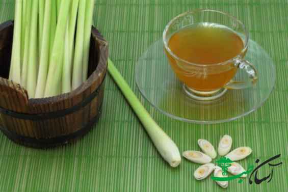 خواص علف لیمو