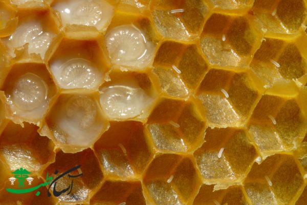 خواص ژله رویال