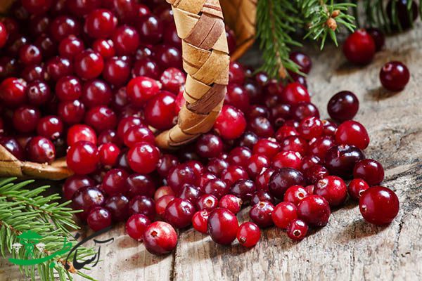 خواص کرنبری