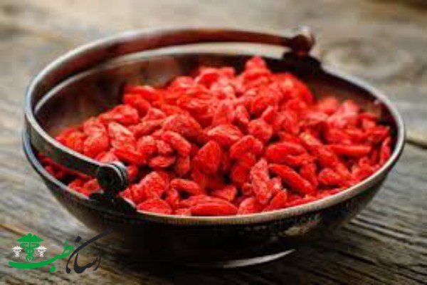 خواص گوجی بری