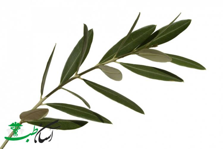 درمان تبخال در طب سنتی