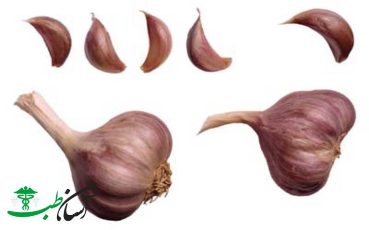 درمان زگیل در طب سنتی