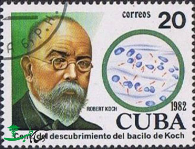 درمان سل در طب سنتی