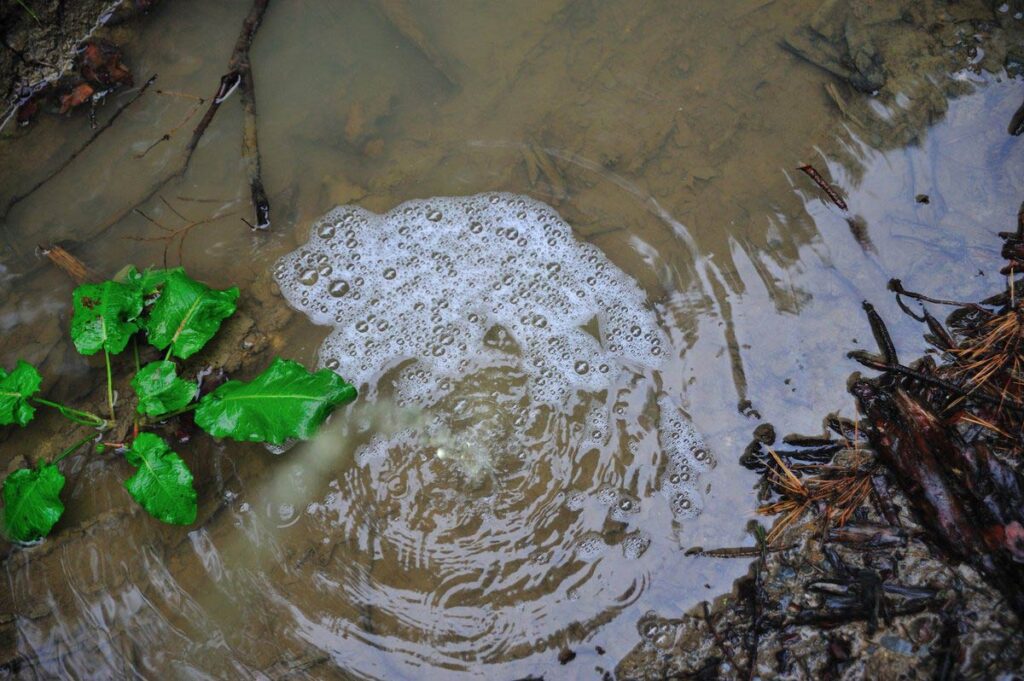 کف آلود بودن ادرار