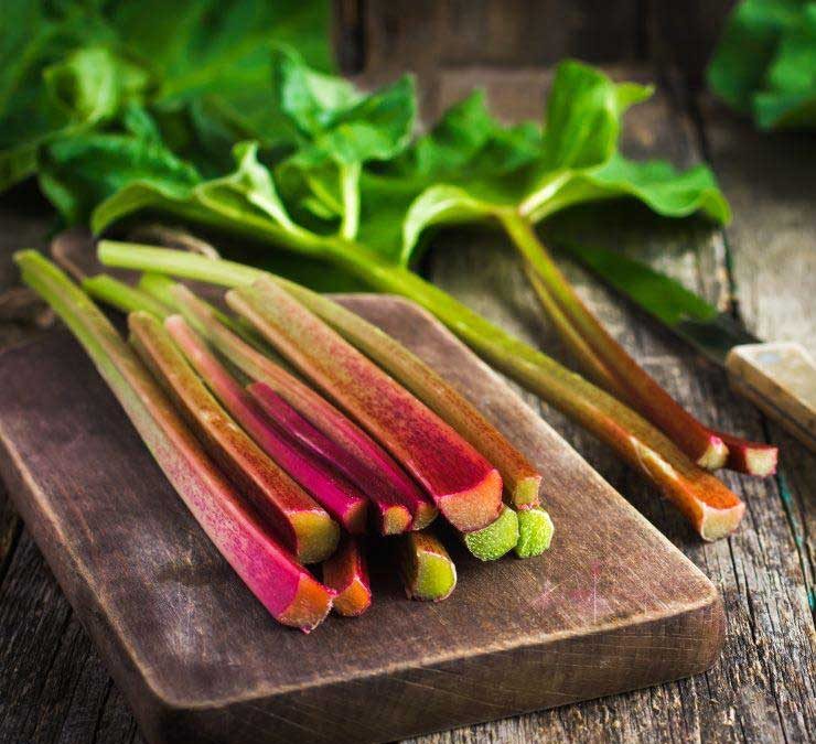 ریشه و ساقه کدام گیاهان سمی و مضر است؟