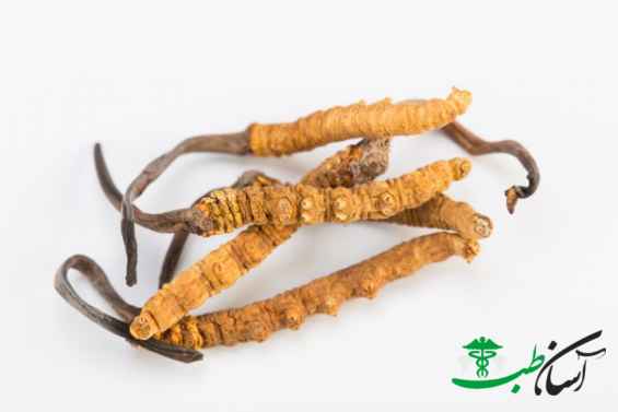 سر چخماقی