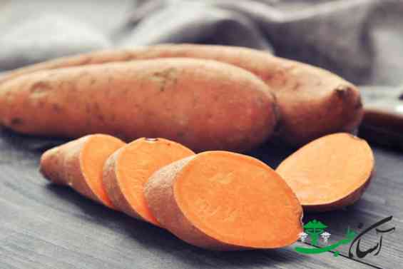 سیبزمینی شیرین
