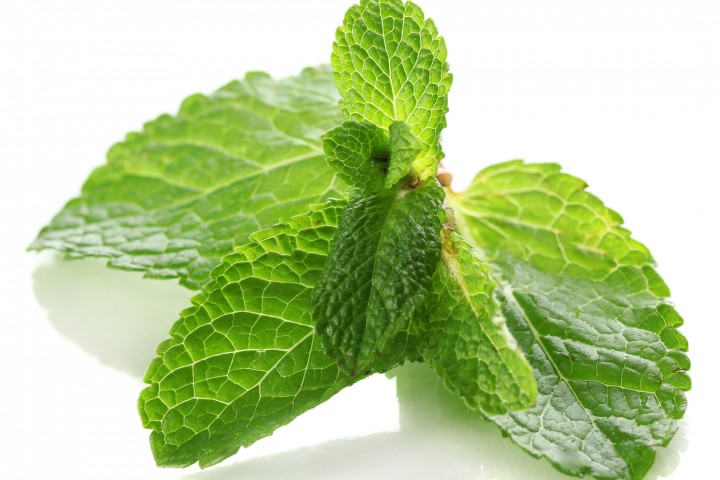 طرز تهیه اسکراب خانگی,نعناع و زیبایی