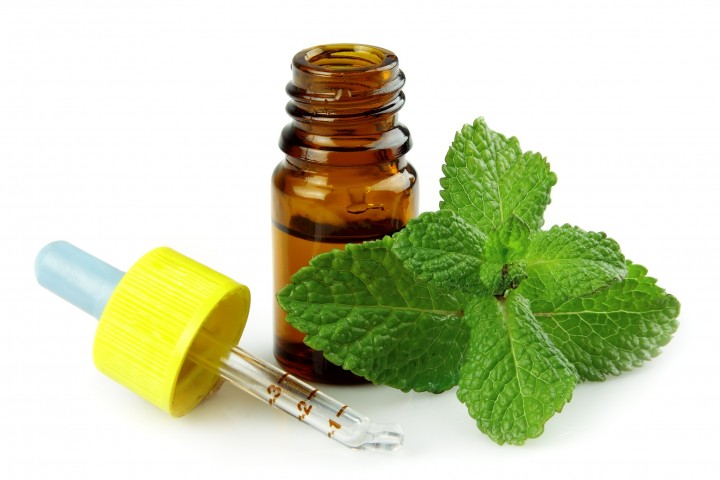 طرز تهیه اسکراب خانگی,نعناع و زیبایی