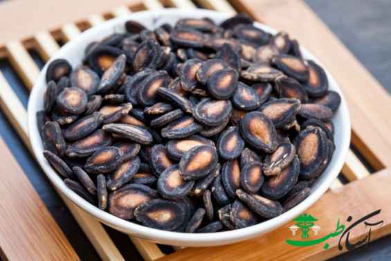 تخم هندوانه