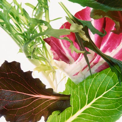 لاغری با افزایش متابولیسم,gettyimages-98126842