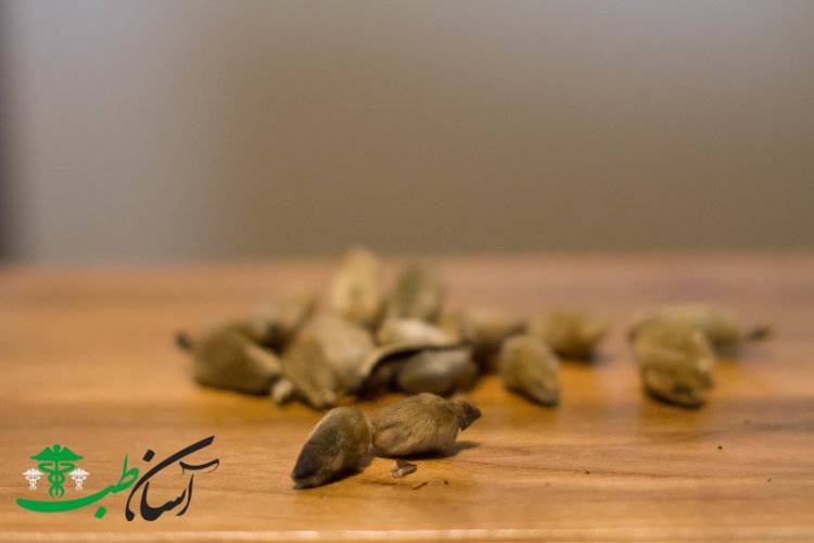 درمان بیماری های عفونی