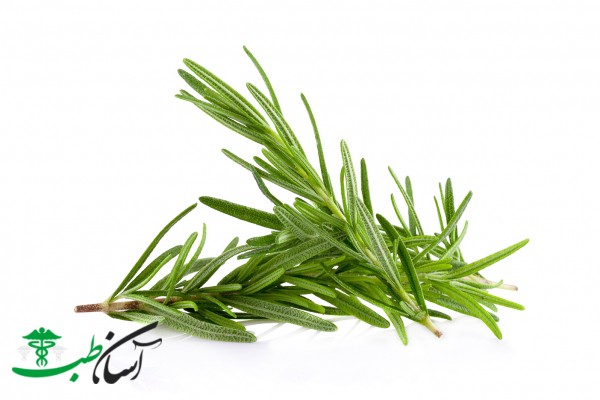 خواص ترخون خواص ترخون