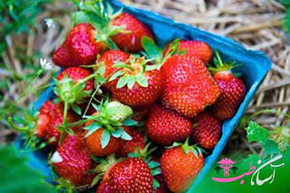 توت فرنگی وحشی