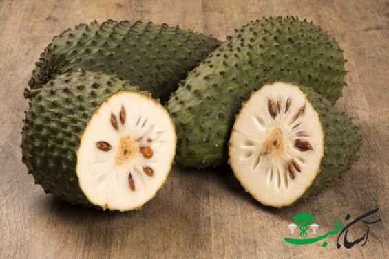 میوه ساپادیل