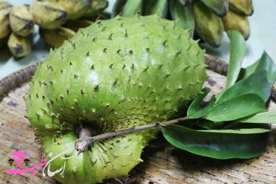 میوه ساپادیل